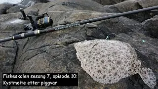 Fiskeskolen S7E10: Kystmeite etter piggvar